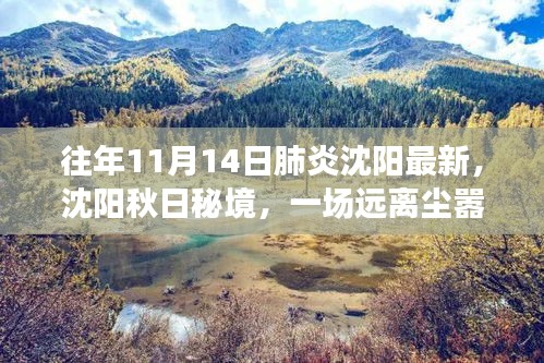 沈陽(yáng)秋日秘境，肺炎時(shí)期的自然探索之旅