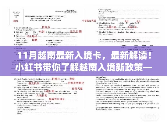 小紅書解讀，最新越南入境卡詳解及新政策解析