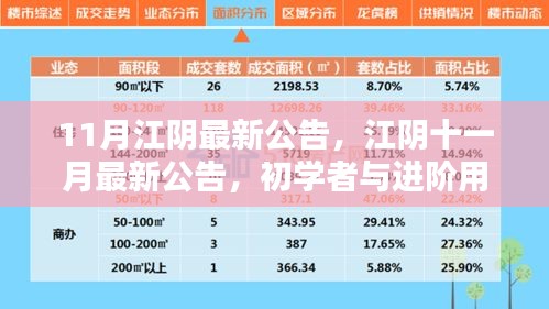 江陰十一月最新公告發(fā)布，初學(xué)者與進(jìn)階用戶指南詳解