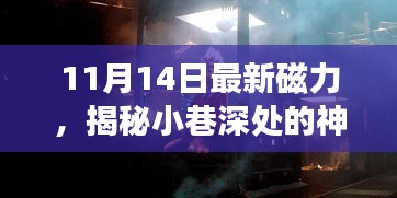 揭秘神秘寶藏，11月14日最新磁力小巷小店探秘之旅