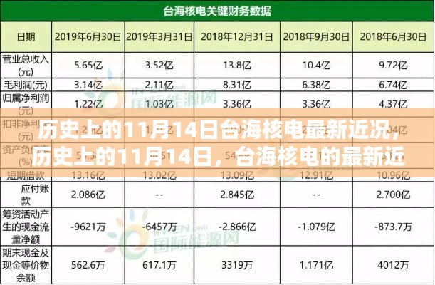 歷史上的11月14日，臺海核電的最新近況及其影響分析概覽