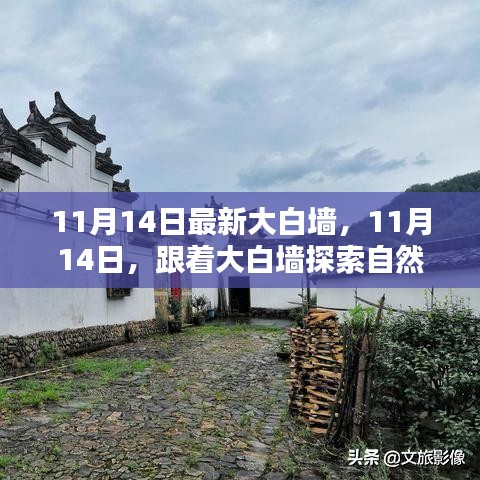 11月14日大白墻引領自然秘境之旅，探索內心寧靜與平和的奧秘