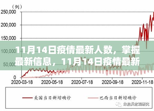 11月14日疫情最新人數(shù)查詢(xún)指南，掌握最新信息