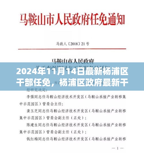 楊浦區(qū)政府最新干部任免動態(tài)，聚焦新任干部及未來展望（更新至2024年）