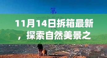 11月14日最新拆箱體驗(yàn)，自然美景之旅，尋找內(nèi)心的寧?kù)o與喜悅