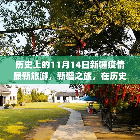 歷史的11月14日，新疆疫情最新旅游動態(tài)與心靈之旅的寧靜與奇跡探尋