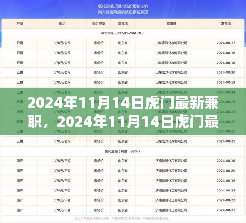 2024年11月14日虎門最新兼職，機遇與挑戰(zhàn)并存