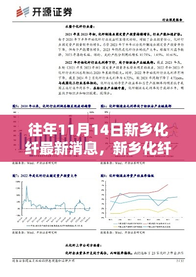 新鄉(xiāng)化纖最新動態(tài)聚焦觀點分析，歷年11月14日深度解讀