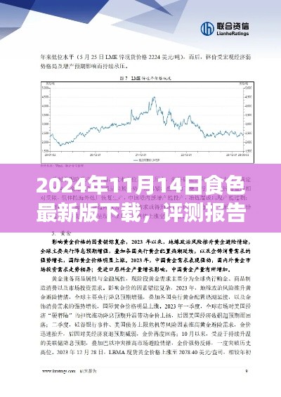 深度評測報告，2024年食色最新版下載解析