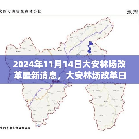 大安林場改革故事會，最新消息與溫馨改革之旅（2024年11月14日）