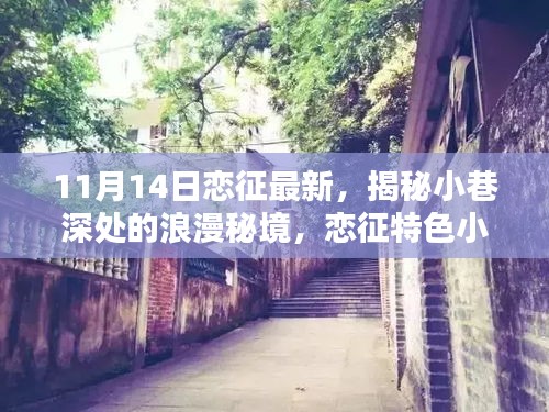 揭秘小巷深處的浪漫秘境，戀征特色小店的最新篇章（11月14日更新）