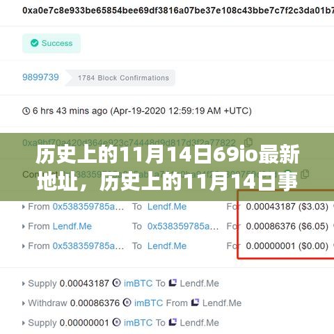 歷史上的11月14日事件與69io最新地址探索，指南及發(fā)掘方法