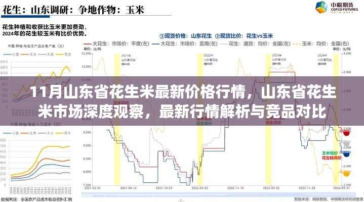 11月山東省花生米最新價(jià)格行情，山東省花生米市場深度觀察，最新行情解析與競品對(duì)比