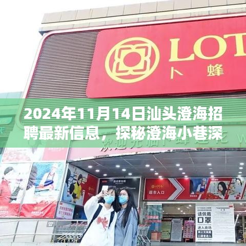 2024年汕頭澄海最新招聘信息揭秘，小巷深處的獨(dú)特小店招聘動(dòng)態(tài)