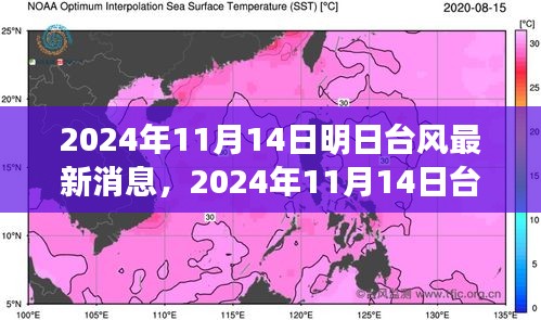 臺(tái)風(fēng)最新消息深度評(píng)測(cè)，特性、體驗(yàn)、競(jìng)品對(duì)比與用戶分析（2024年臺(tái)風(fēng)動(dòng)態(tài)）