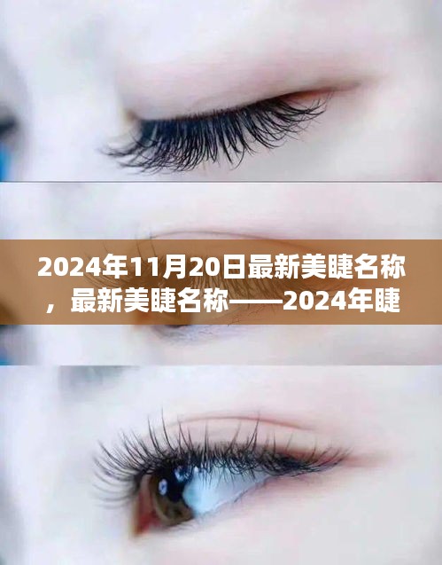 最新美睫名稱揭秘，2024年睫毛美學(xué)的革命性變革