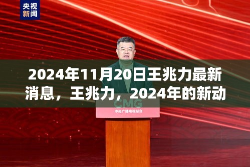 王兆力最新動向與時(shí)代印記，2024年展望