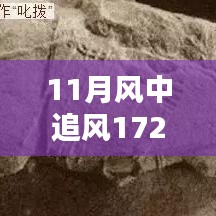 揭秘，風(fēng)中追風(fēng)最新裝備的時(shí)代地位與影響，逐風(fēng)而行，價(jià)值高達(dá)172萬(wàn)裝備重磅登場(chǎng)！