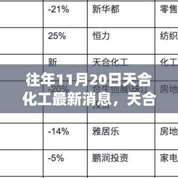 天合化工最新動態(tài)解讀，產(chǎn)品特性、用戶體驗與目標用戶分析揭秘