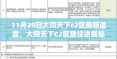 大同天下C2區(qū)建設最新進度報告（11月20日更新），細節(jié)揭秘與進展解讀