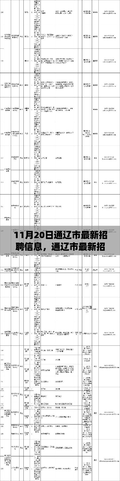 通遼市最新招聘信息概覽，職場人的福音（11月20日更新）