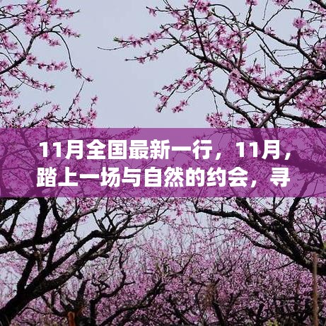 11月踏自然之旅，內(nèi)心的桃花源探尋記