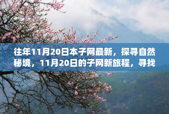 往年11月20日本子網(wǎng)最新，探尋自然秘境，11月20日的子網(wǎng)新旅程，尋找內(nèi)心的桃花源