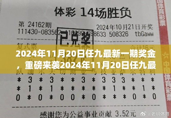 揭秘2024年11月20日任九最新一期獎金揭曉，財富密碼大解密！