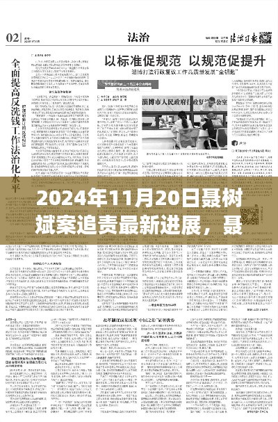 聶樹斌案追責(zé)最新進(jìn)展深度解析，2024年11月20日追責(zé)進(jìn)展及評(píng)測(cè)