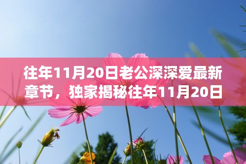 往年11月20日老公深情與高科技融合，全新智能伴侶揭秘，顛覆想象！