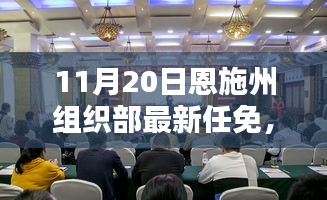 恩施州組織部最新任免動態(tài)解析及用戶群體分析，特性、體驗與競品對比報告