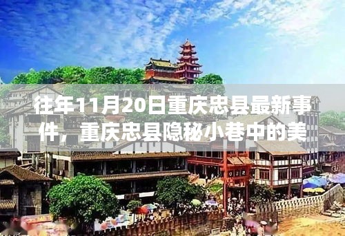 招標(biāo)采購 第114頁