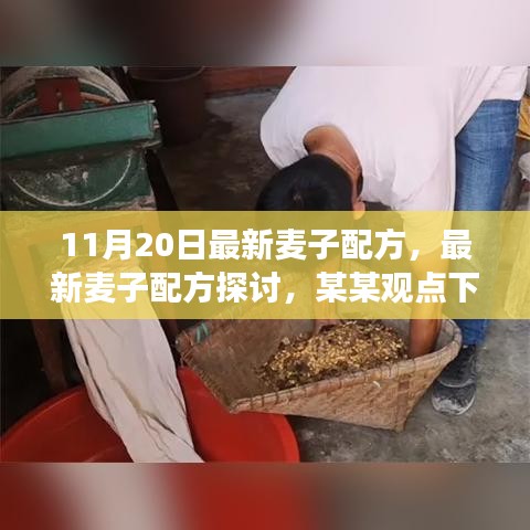 最新麥子配方探討，某某觀點下的分析與個人立場分享（11月20日更新）