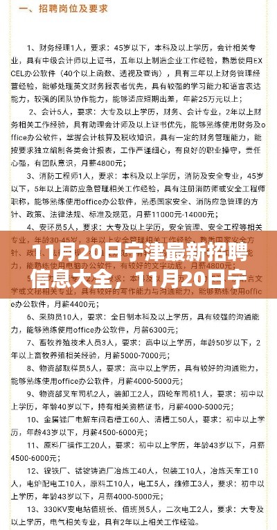 11月20日寧津最新招聘信息匯總，全面解讀招聘平臺特性與體驗