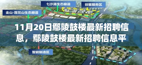 11月20日鄢陵鼓樓最新招聘信息及平臺深度評測，特性、體驗與用戶洞察