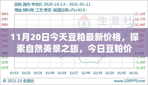 啟程尋找內(nèi)心平和，今日豆粕最新價(jià)格與自然美景之旅的寧靜故事