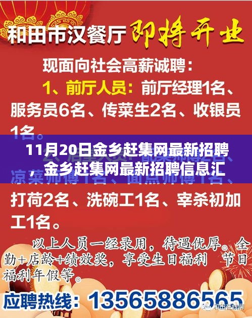 11月20日金鄉(xiāng)趕集網(wǎng)最新招聘匯總，熱點崗位解析與招聘信息