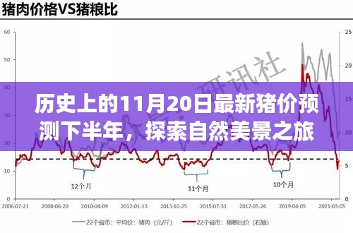 歷史上的11月20日豬價預測與心靈寧靜尋覓之旅，自然美景探索