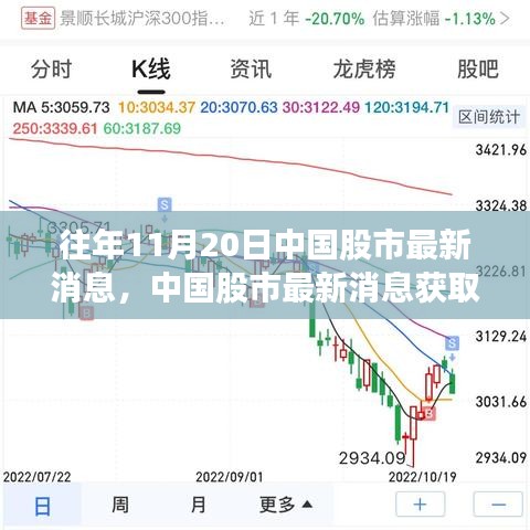 往年11月20日中國股市動態(tài)解析，獲取最新消息指南及初學者進階技巧