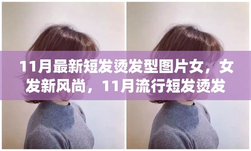 11月流行女發(fā)短燙發(fā)，全新風尚與全攻略圖片欣賞