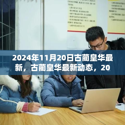 古藺皇華最新動態(tài)深度解析，2024年11月20日報告