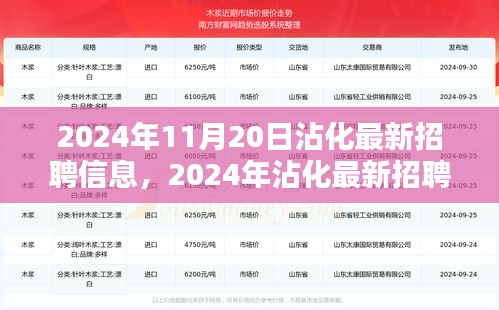 2024年沾化最新招聘信息全攻略，獲取與應聘指南（初學者與進階用戶必備）