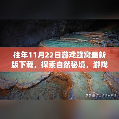 游戲蜂窩帶你探索自然秘境，最新下載，心靈平靜之旅