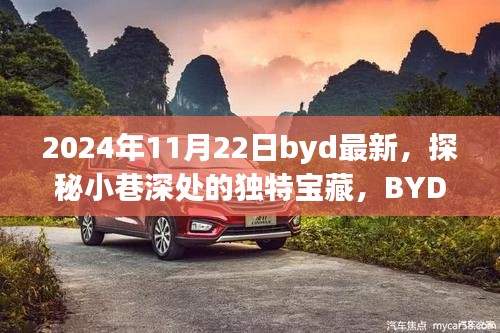 探秘小巷深處的獨(dú)特寶藏，BYD最新隱藏版特色小店揭秘（2024年11月22日）