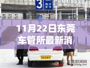 東莞車管所溫馨日常，趣事與陪伴的特別記錄（11月22日最新消息）