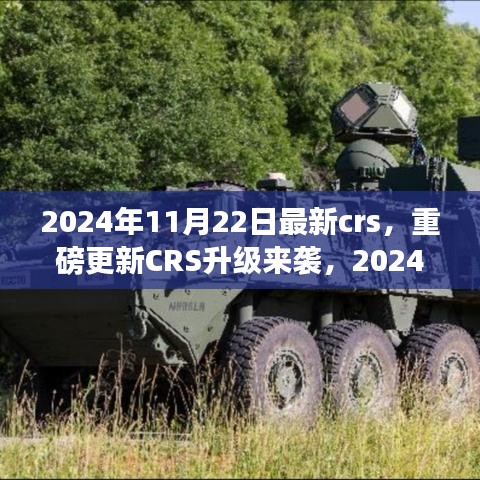 重磅更新CRS升級來襲，解讀最新政策與應(yīng)對策略，2024年CRS新動向解析