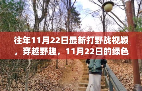 往年11月22日最新打野戰(zhàn)視穎，穿越野趣，11月22日的綠色冒險之旅，尋找內(nèi)心的寧靜與平和