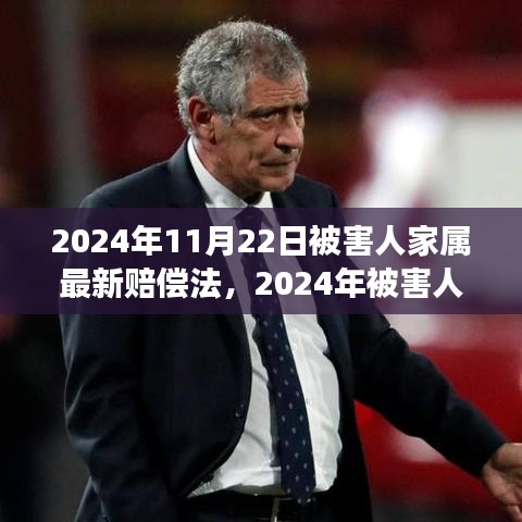 深度解讀2024年被害人家屬賠償法，背景、進(jìn)展與影響