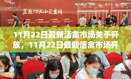 11月22日活禽市場開放動(dòng)態(tài)，復(fù)蘇與機(jī)遇的挑戰(zhàn)