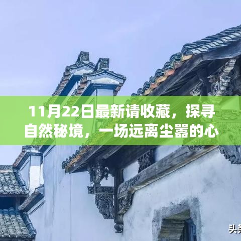 11月22日探尋自然秘境之旅，心靈啟程，珍藏美好瞬間